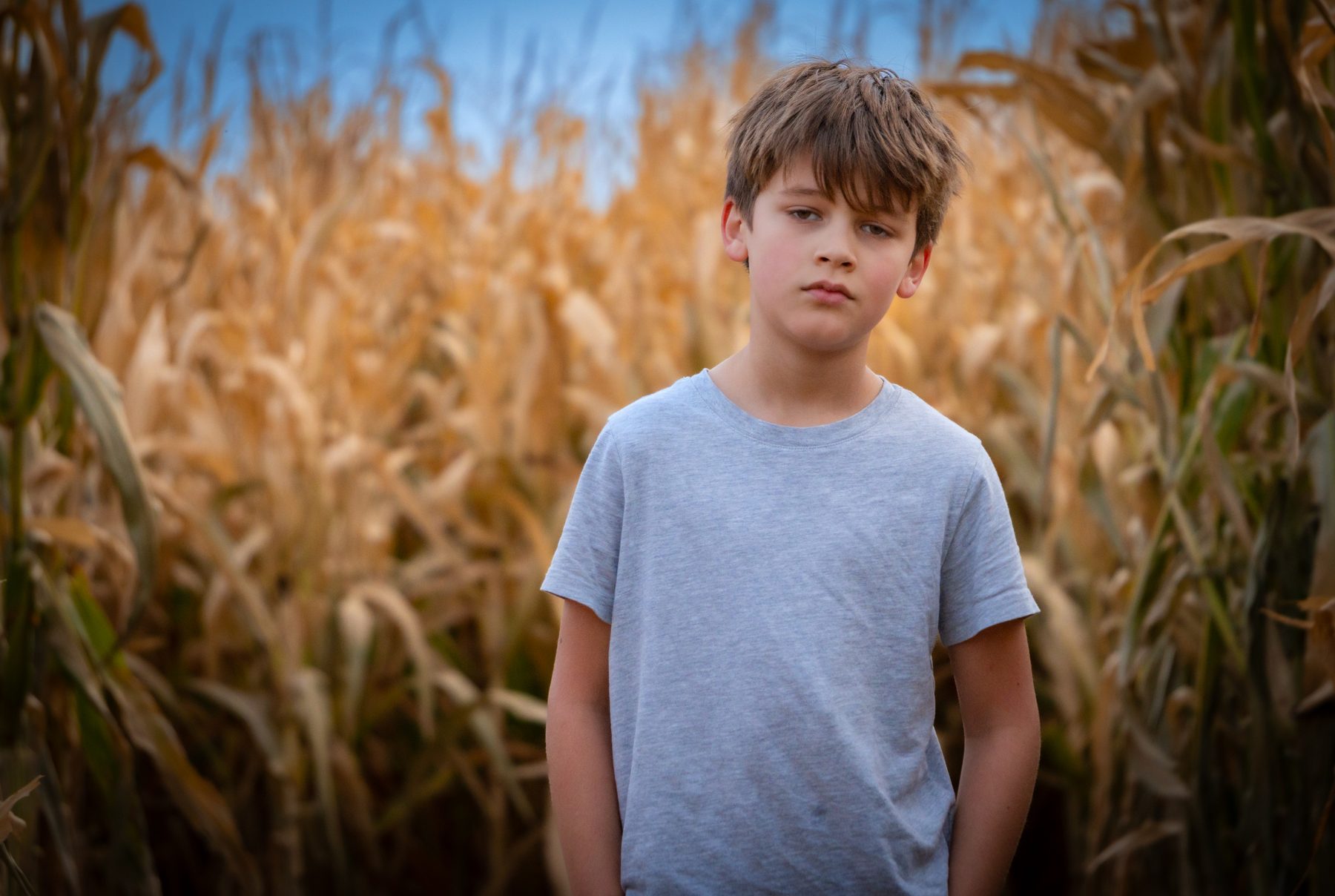 Child standing in a warm field