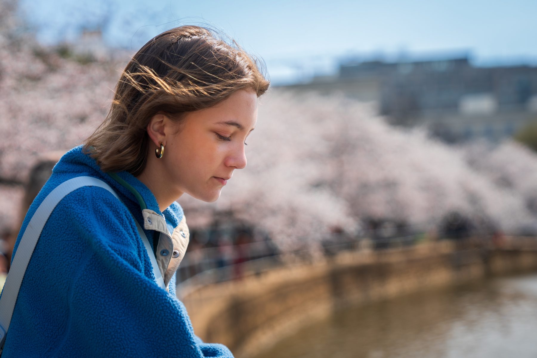 Reflective portrait near cherry blossoms